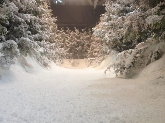 Interior studio snow dress on Reign Season 2