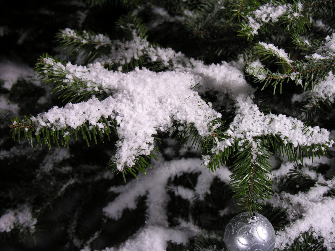 Polyethylene Snowflakes - Acme FX